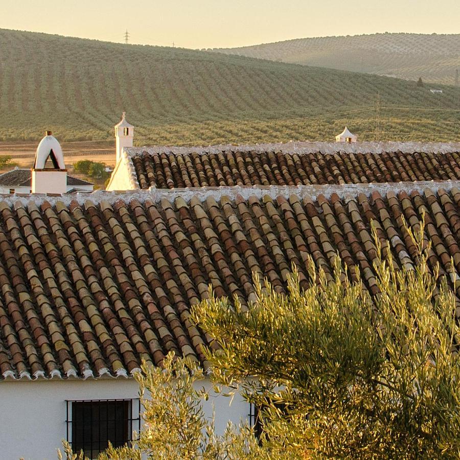 Вилла Cortijo Alzamigaja Арчидона Экстерьер фото