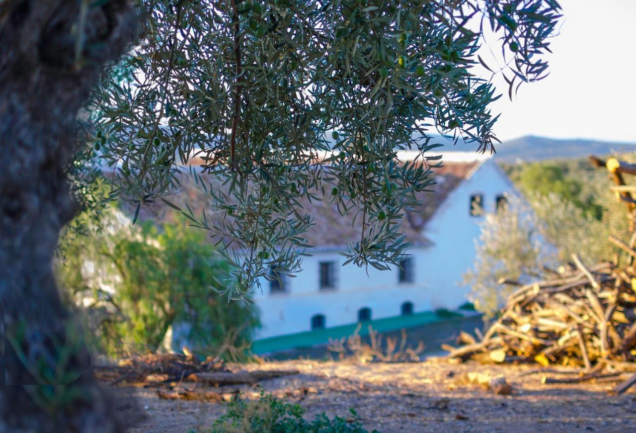 Вилла Cortijo Alzamigaja Арчидона Экстерьер фото