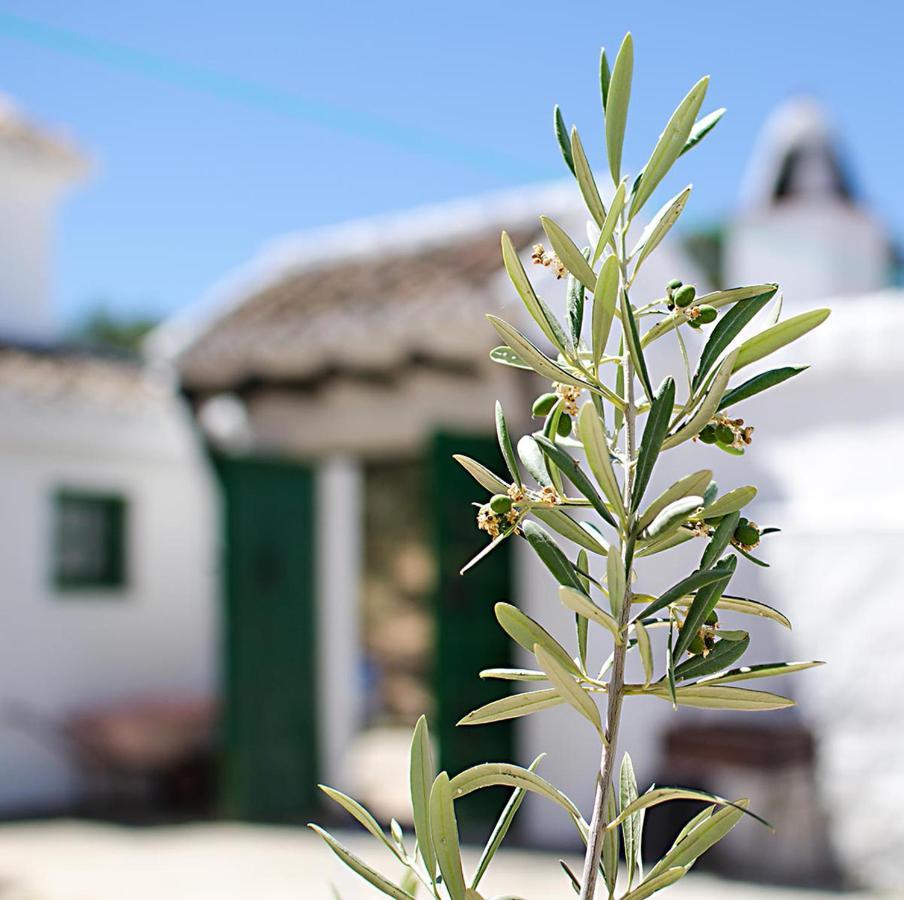 Вилла Cortijo Alzamigaja Арчидона Экстерьер фото