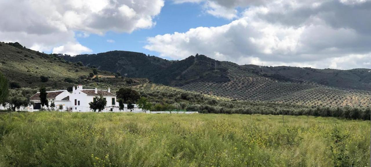 Вилла Cortijo Alzamigaja Арчидона Экстерьер фото