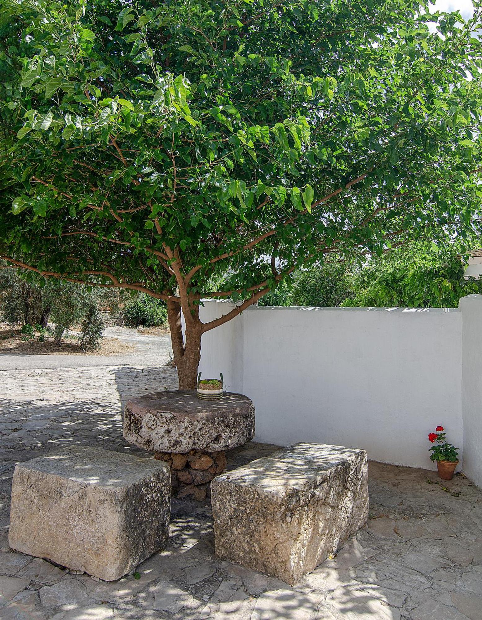 Вилла Cortijo Alzamigaja Арчидона Экстерьер фото